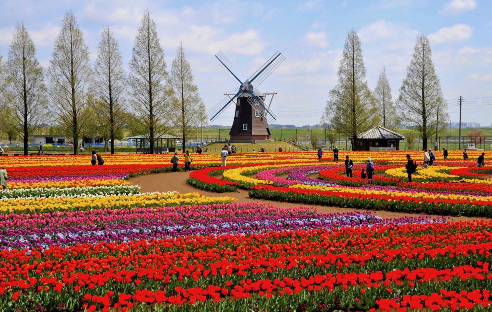 あけぼの山公園
