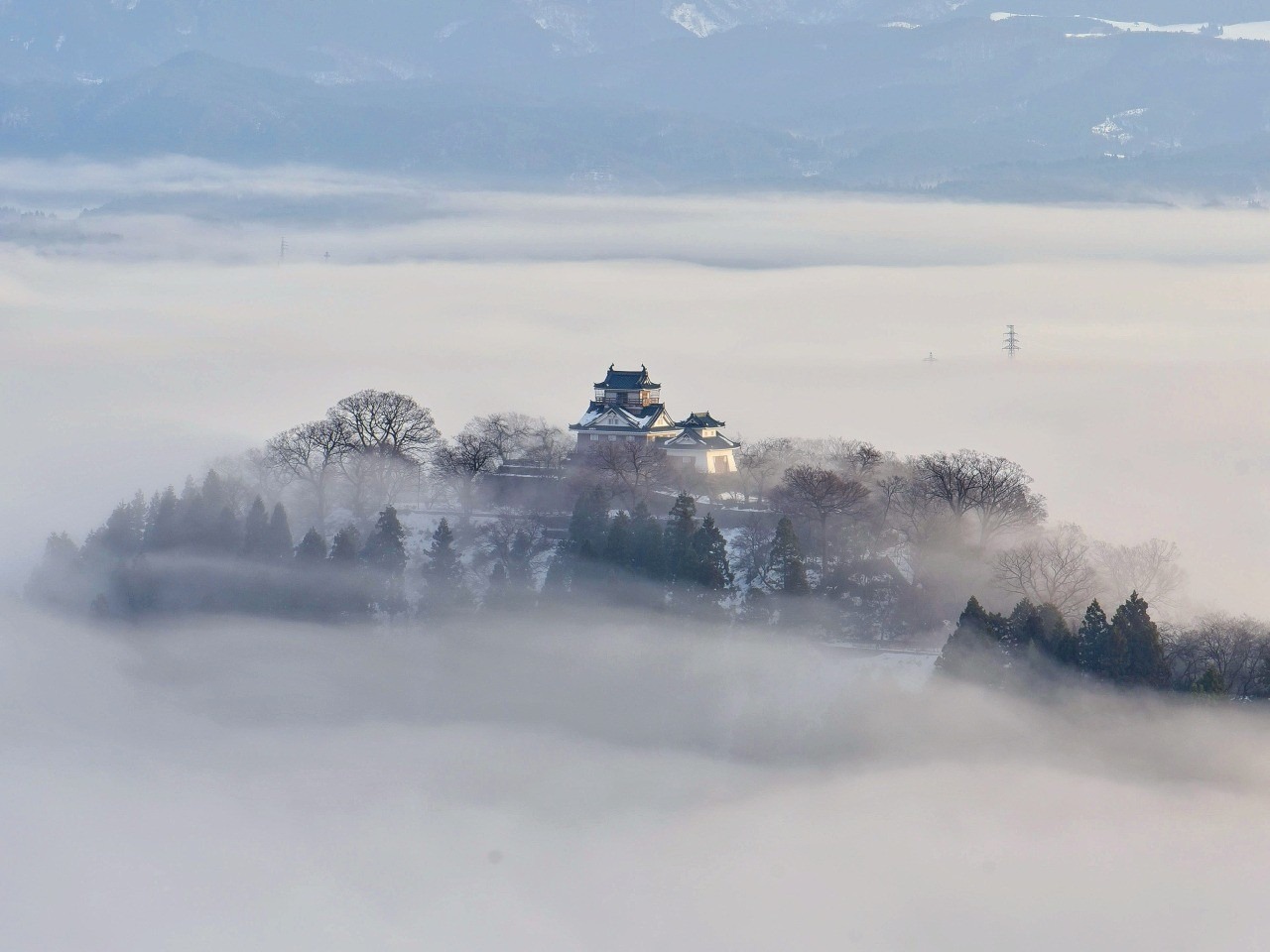 越前大野城
