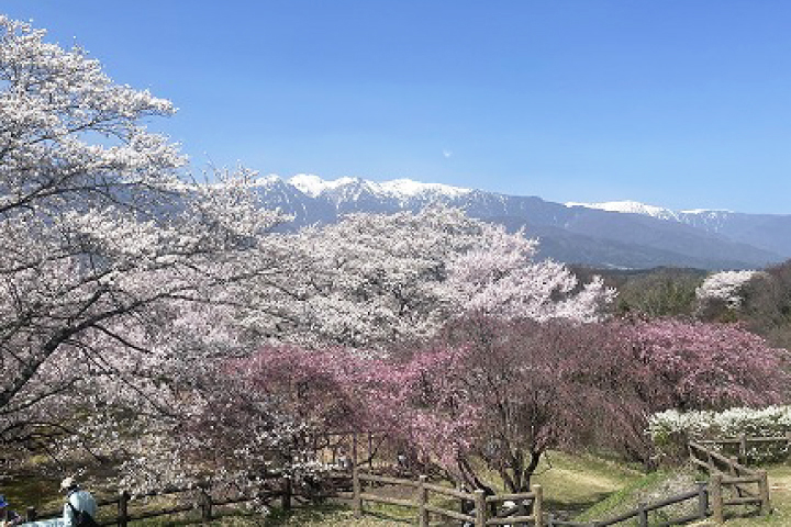 大草城址公園