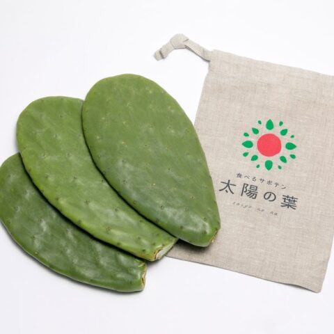 食べるサボテン